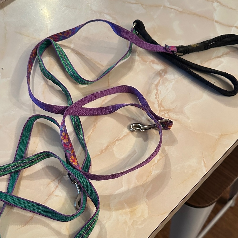 Colorful Dog Leashes Pair